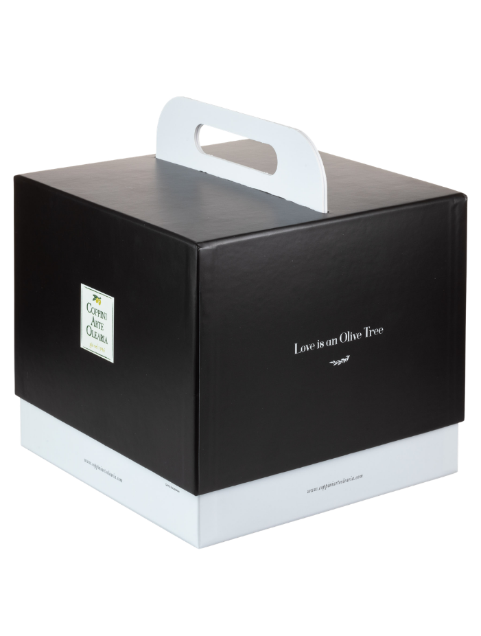 Top 10 Box – Geschenkbox